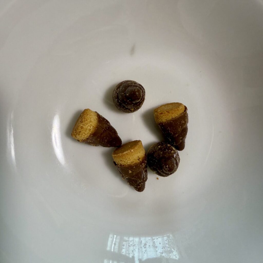 コストコのたけのこの里を開封したところを撮った画像