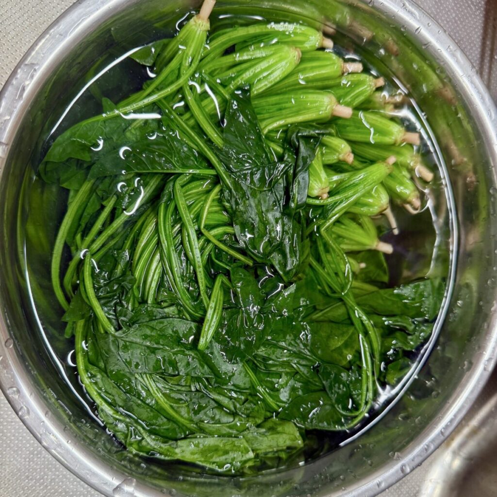 コストコの有機ほうれん草をゆでた後水につけたところを撮った画像