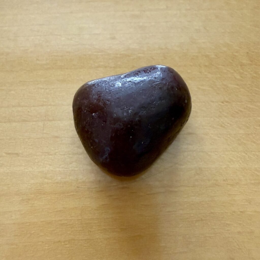チョコがけパイナップルを撮った画像