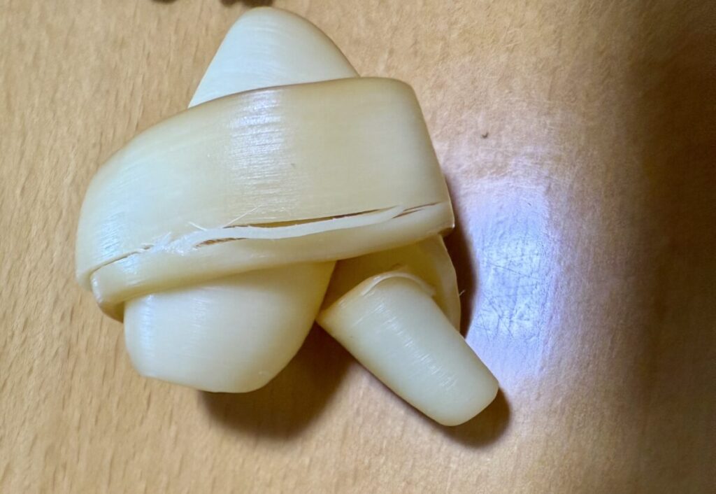 モッツァロールを結んだところを撮った画像