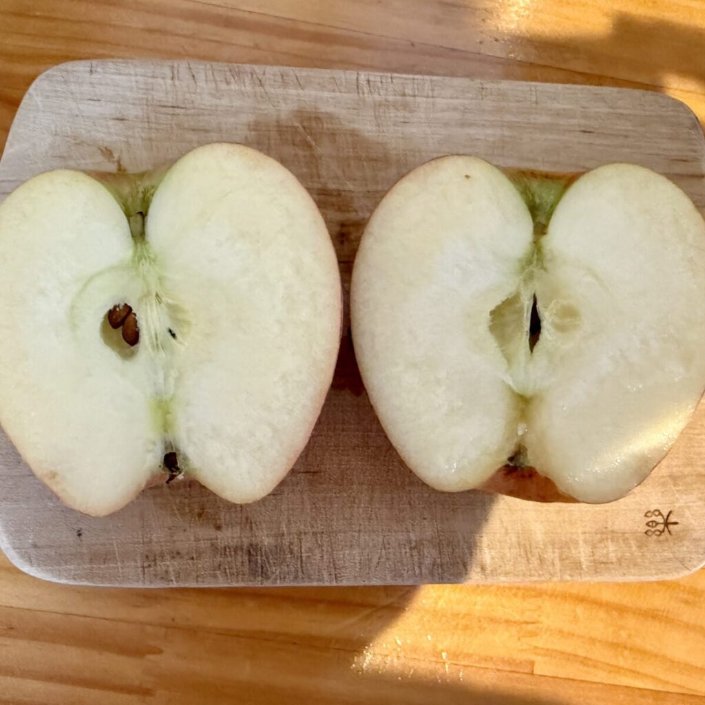こるりんごを二つにカットしたところを撮った画像