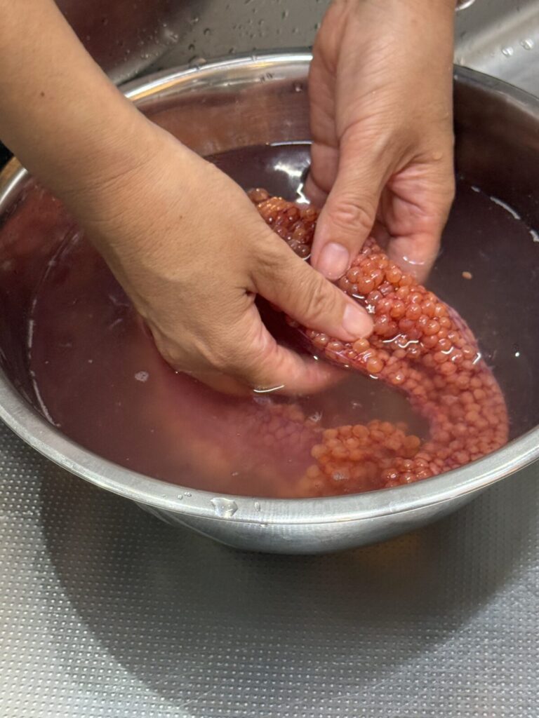 筋子の皮などを取っているところを撮った画像