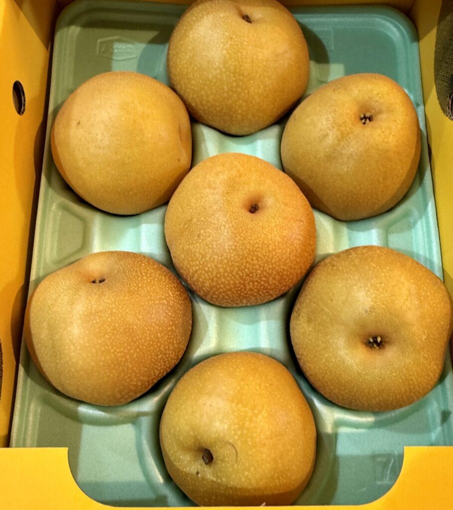 豊水を上から撮った画像