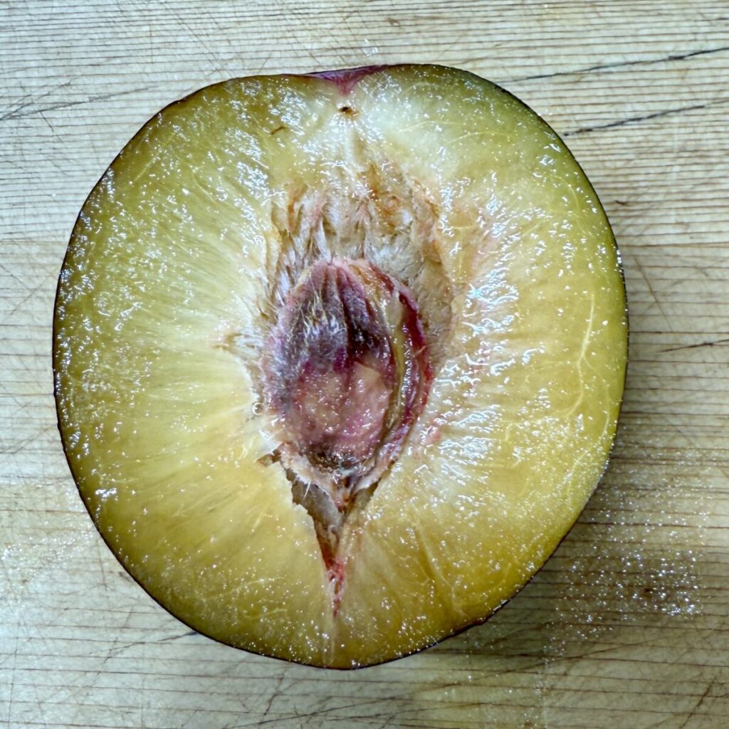 カリフォルニアプラムを半分に割ったところを撮った画像