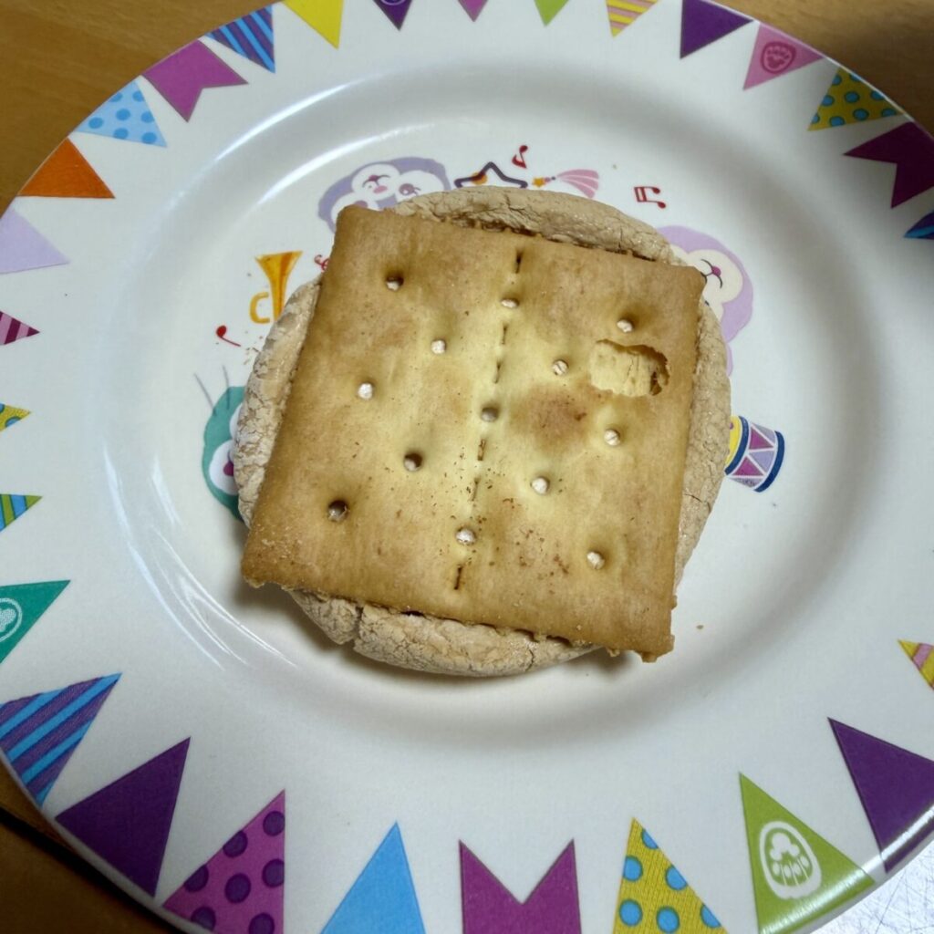 スモア オーゴットマロウ 焼きマシュマロクラッカー 230gを開封して裏面を撮った画像