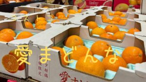 コストコの愛まどんなの記事のトップ画像