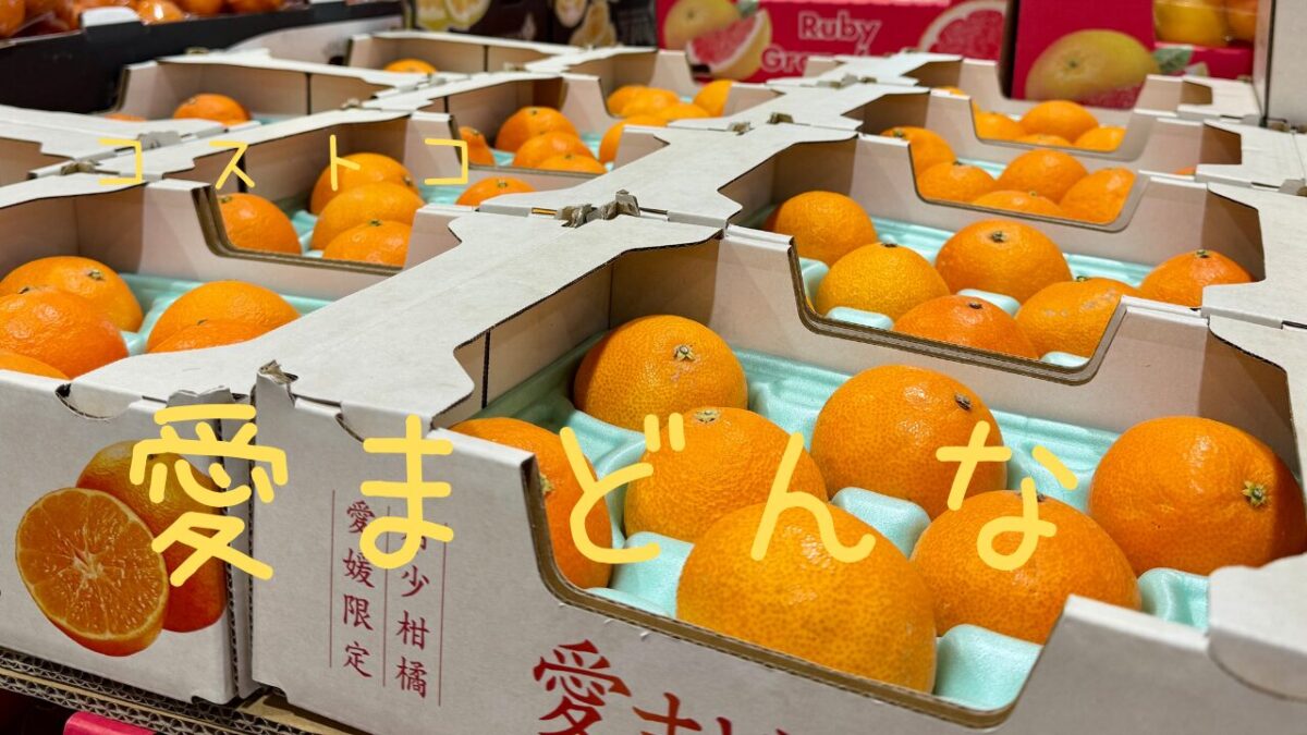 コストコの愛まどんなの記事のトップ画像