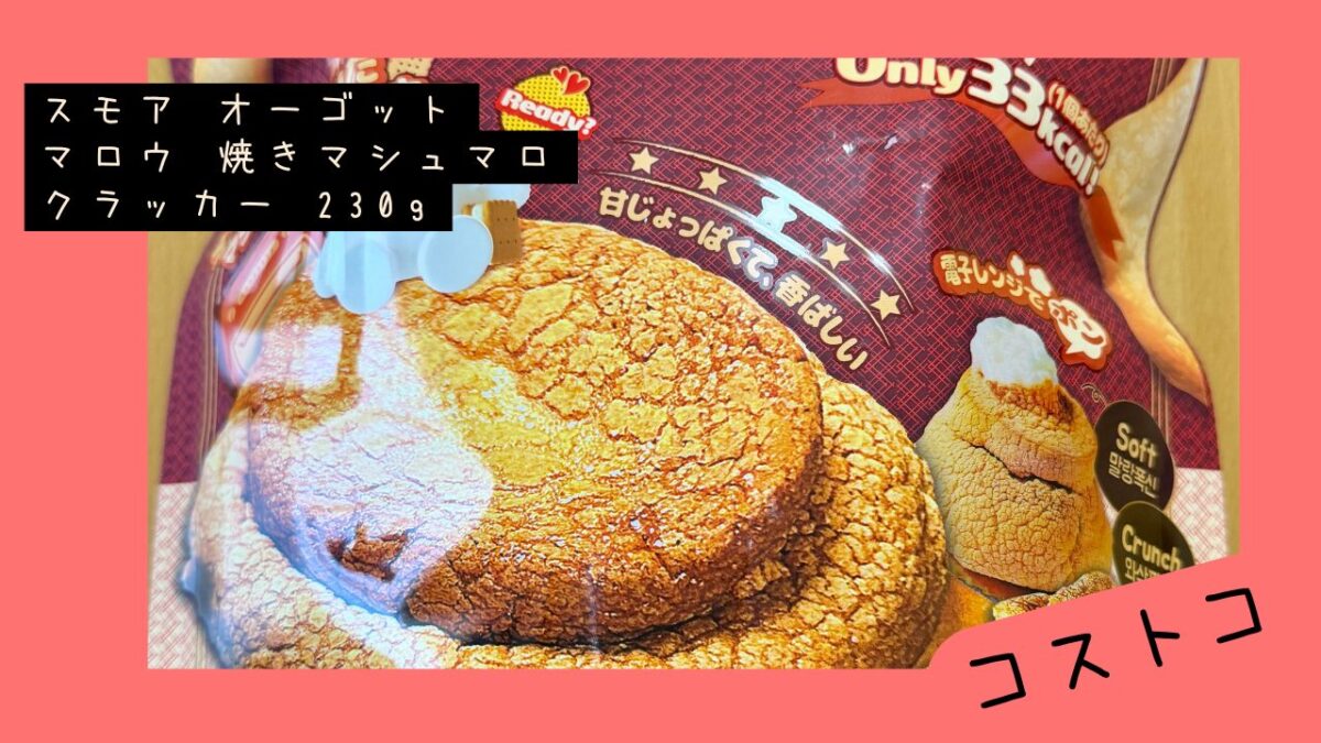 スモア オーゴットマロウ 焼きマシュマロクラッカー 230gの記事のトップ画像