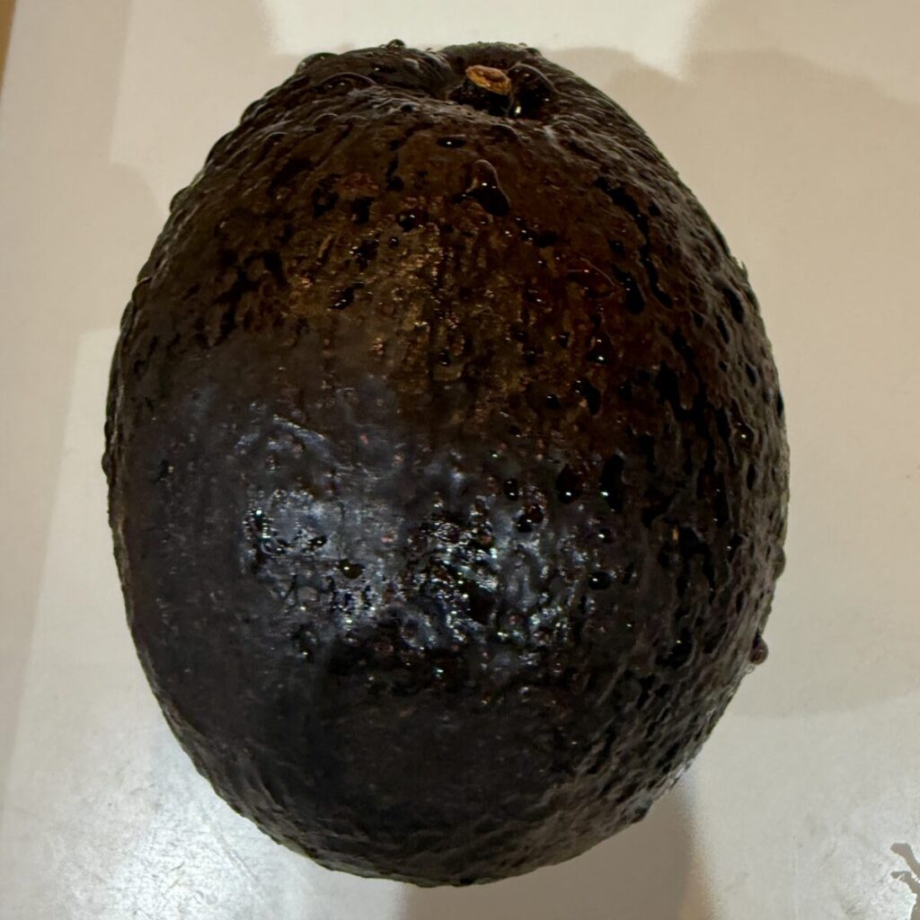 コストコのアボカドを上から撮った画像