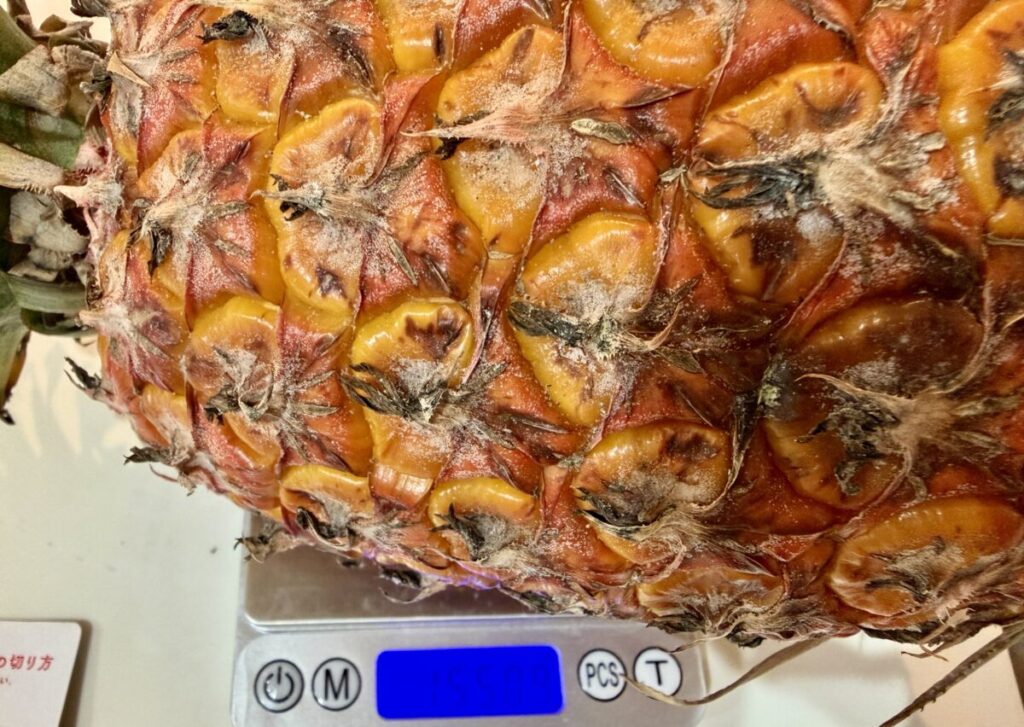 台湾スイートパインを計量しているところを撮った画像