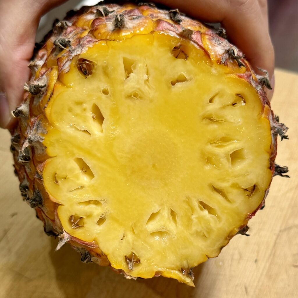 台湾スイートパインの断面を撮った画像